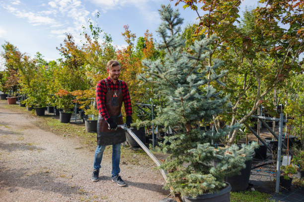 Best Tree Planting Services  in Colonial Rk, PA